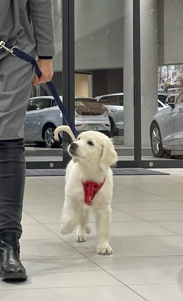 おはようございます。