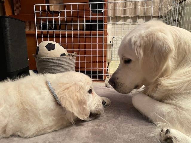 マシュー兄ちゃん、大好き！