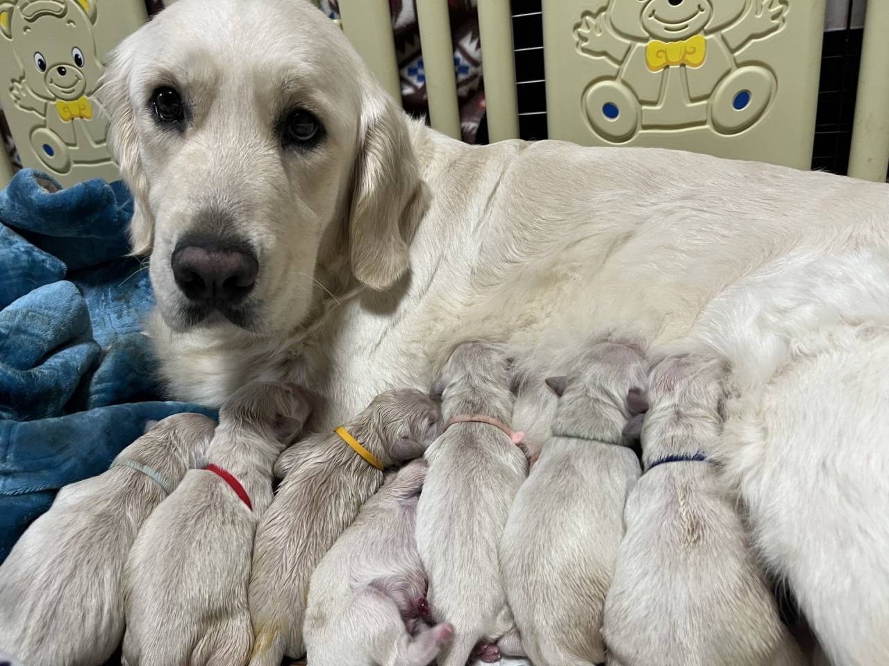 おめでとう！！