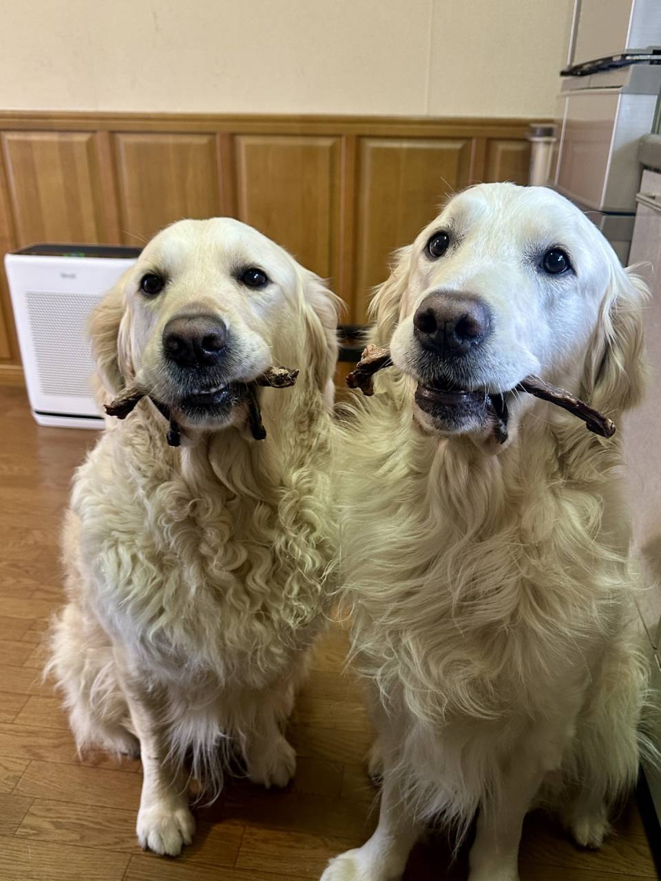 3歳おめでとう！