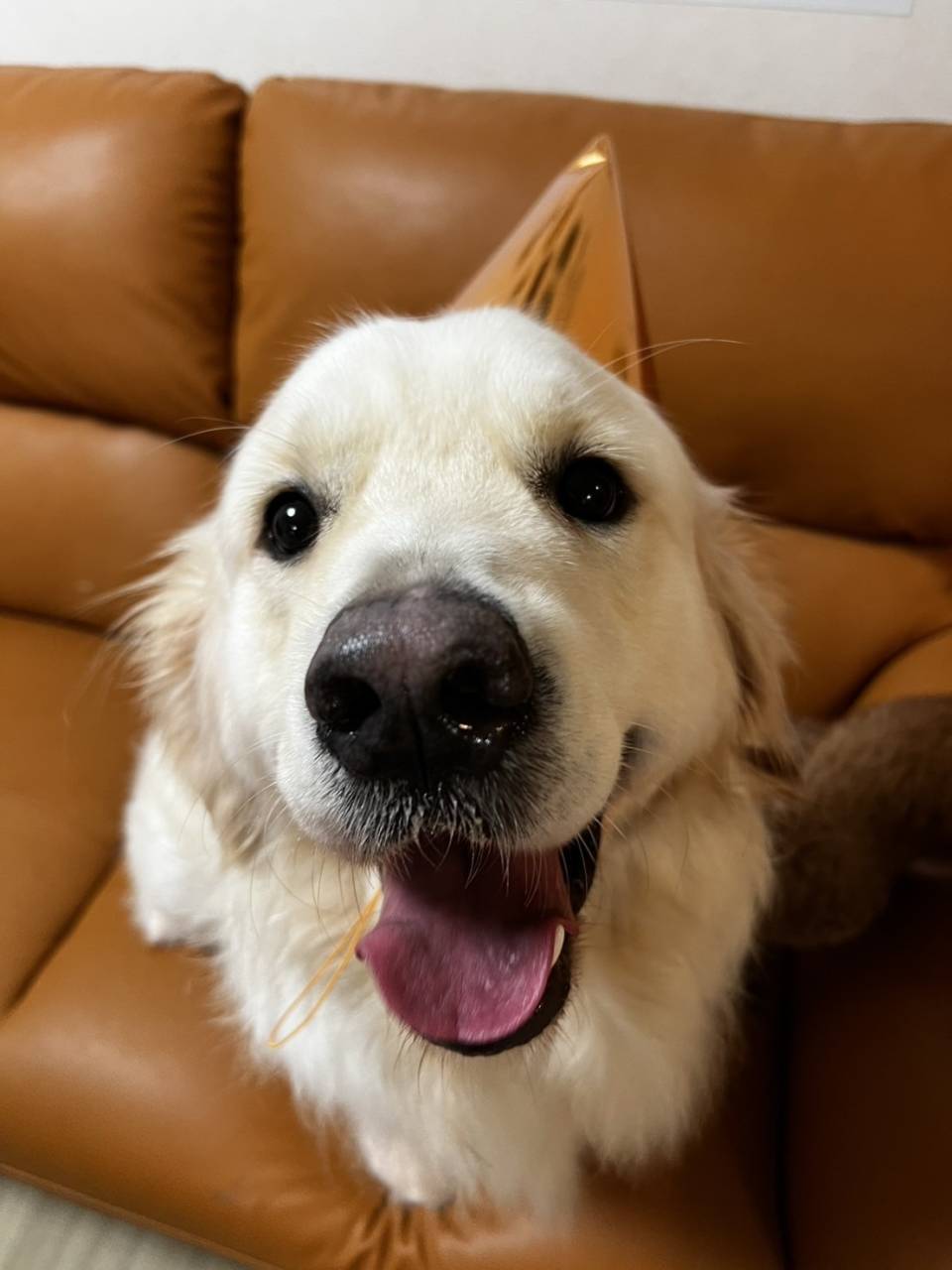 2歳おめでとう
