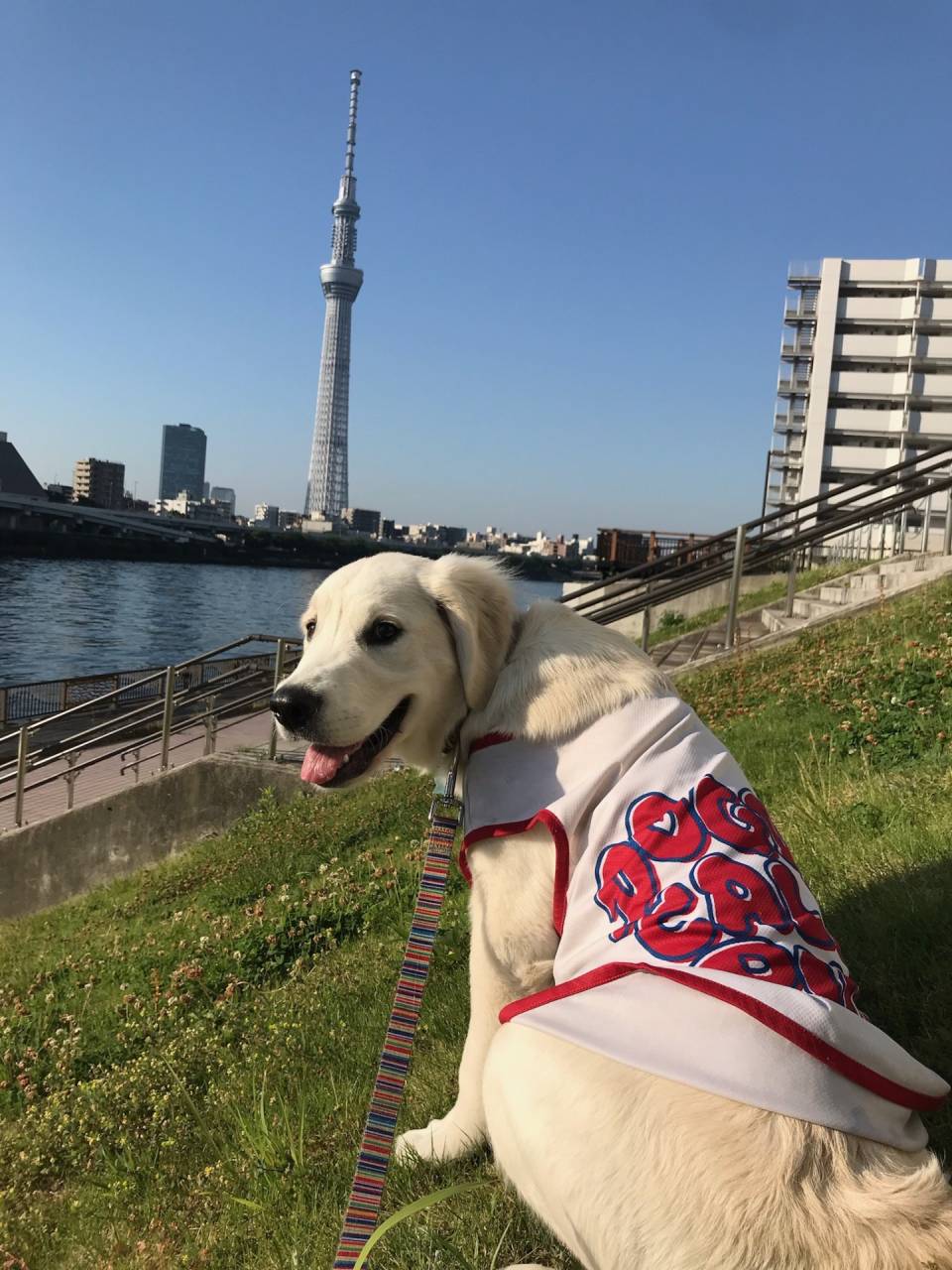 おはようございます。