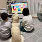 遺伝性疾患について