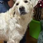 責任を果たせました。