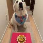 10歳おめでとう