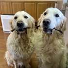 3歳おめでとう！