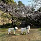 こちらも健在美魔女