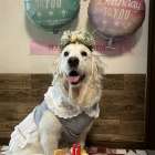 11歳おめでとう